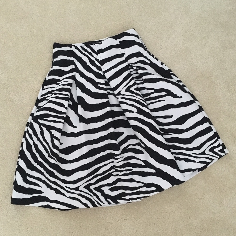 Express skirt